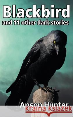 Blackbird: and 11 other dark stories Tom Boniface-Webb, Anson Hunter 9781838188764