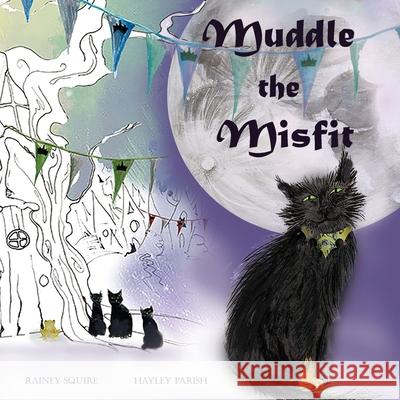 Muddle the Misfit Lorraine Squire Hayley Parish 9781838363260 Broomstick