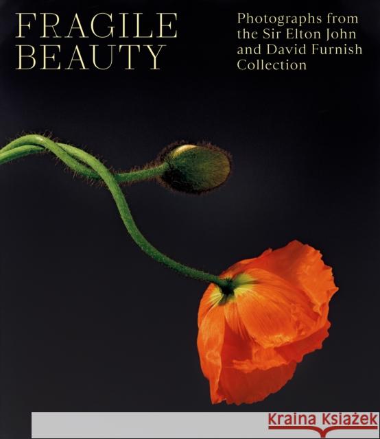 Fragile Beauty: Photographs from the Sir Elton John and David Furnish Collection - The Official V&A Exhibition Book  9781838510466 V & A Publishing