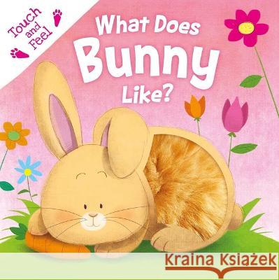 What Does Bunny Like?: Touch & Feel Board Book Igloobooks                               Gabriel Cortina 9781838527846 Igloo Books
