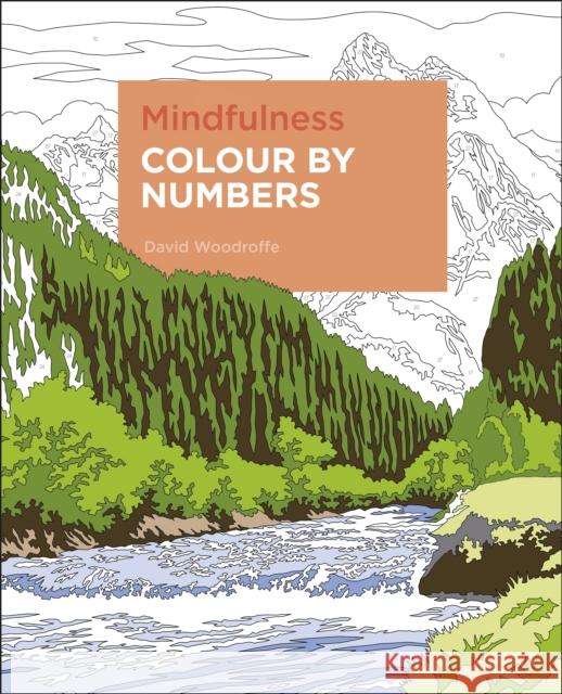 Mindfulness Colour by Numbers David Woodroffe 9781838574185 Arcturus Publishing Ltd