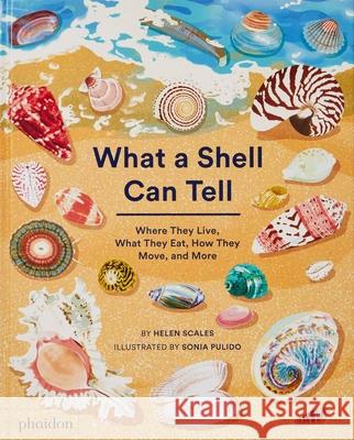 What a Shell Can Tell Helen Scales Sonia Pulido 9781838664312 Phaidon Press