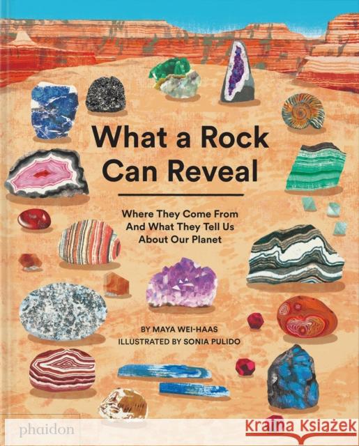 What a Rock Can Reveal: Where They Come From And What They Tell Us About Our Planet Maya Wei-Haas 9781838667894