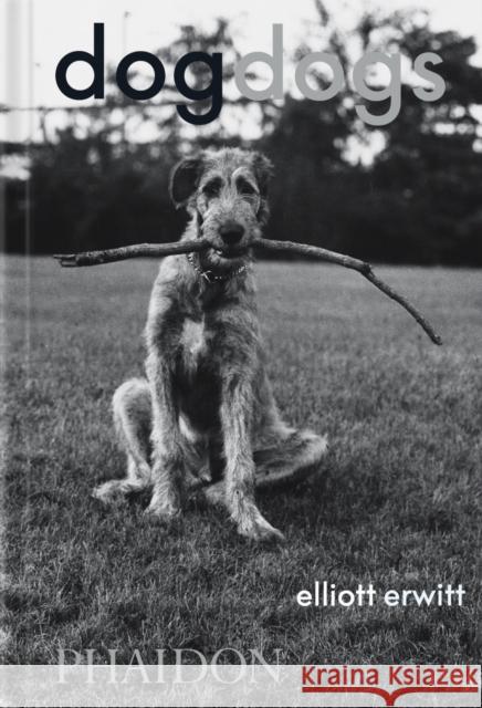 DogDogs  9781838669256 Phaidon Press