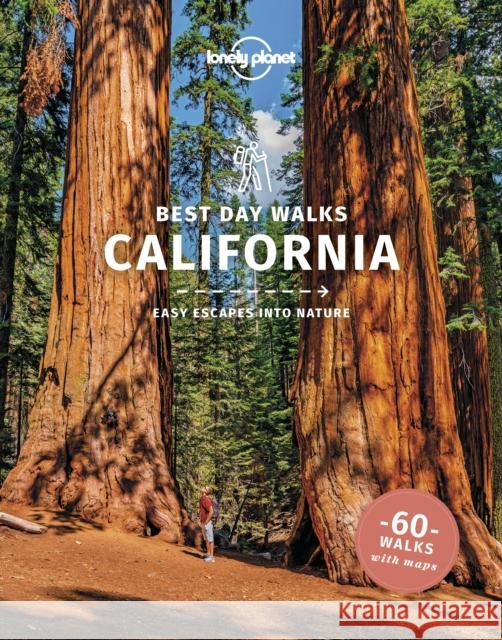 Lonely Planet Best Day Walks California Ashley Harrell 9781838691172 Lonely Planet Global Limited