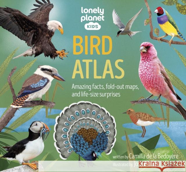 Lonely Planet Kids Bird Atlas Lonely Planet Kids 9781838699970 Lonely Planet Global Limited