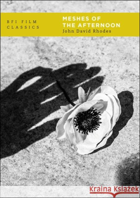 Meshes of the Afternoon John David Rhodes 9781838719722