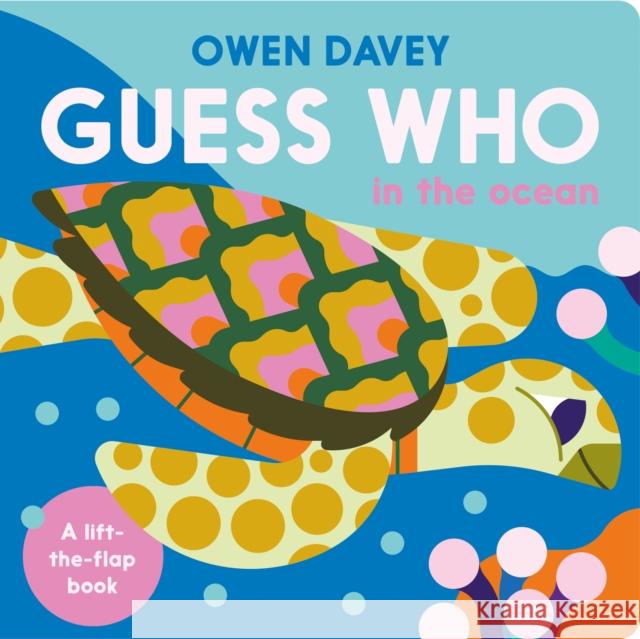 Guess Who? In the Ocean Owen Davey 9781838742539