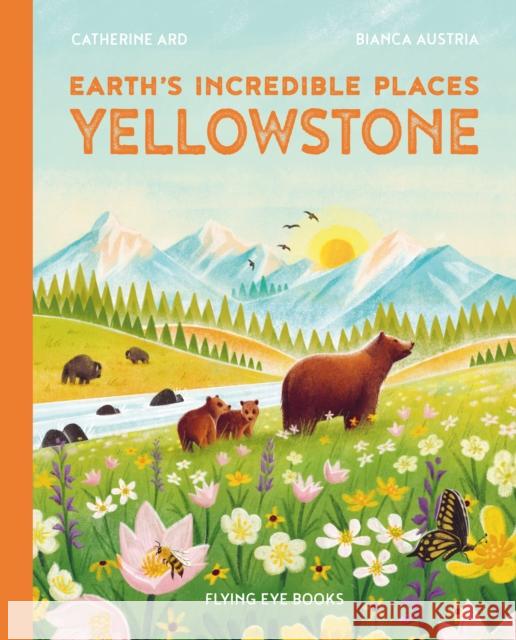 Yellowstone Catherine Ard 9781838748562 Flying Eye Books