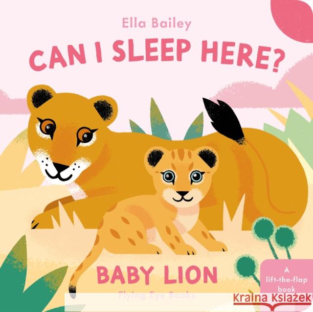 Can I Sleep Here? Baby Lion Ella Bailey 9781838748944 Nobrow Press