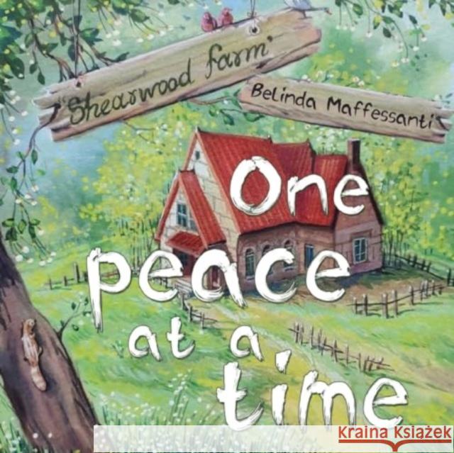 One peace at a time Belinda Maffessanti 9781838759544