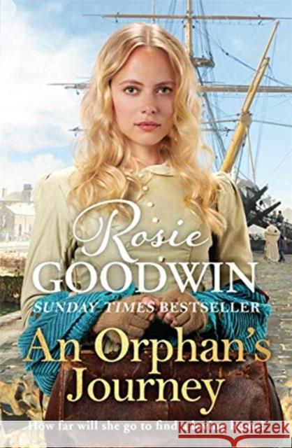 An Orphan's Journey: The new heartwarming saga from the Sunday Times bestselling author Rosie Goodwin 9781838773526