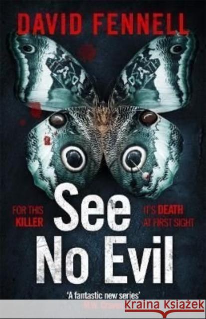 See No Evil: The critically acclaimed, gripping and twisty crime thriller David Fennell 9781838776664