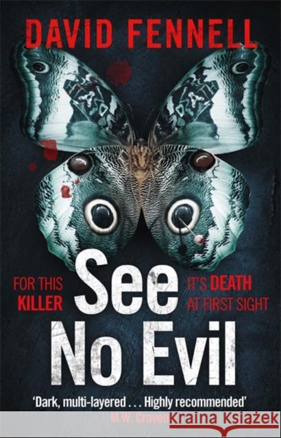 See No Evil: The critically acclaimed, gripping and twisty crime thriller David Fennell 9781838778231