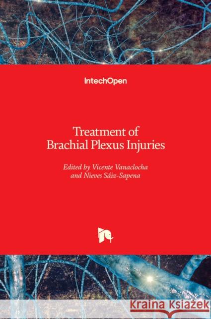 Treatment of Brachial Plexus Injuries Vicente Vanaclocha Nieves Saiz-Sapena 9781838804039