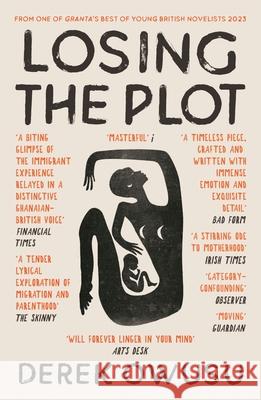 Losing the Plot Derek Owusu 9781838855642 Canongate Books