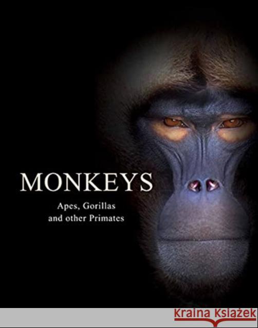 Monkeys: Apes, Gorillas and other Primates Tom Jackson 9781838861001 Amber Books Ltd