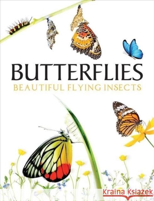 Butterflies: Beautiful Flying Insects Tom Jackson 9781838861605 Amber Books Ltd