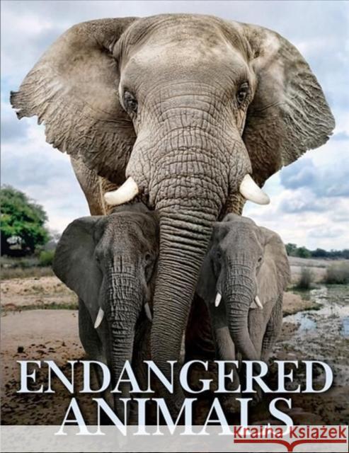 Endangered Animals Tom Jackson 9781838861612 Amber Books Ltd