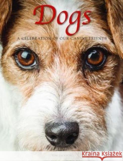 Dogs: A Celebration of our Canine Friends Tom Jackson 9781838861636 Amber Books Ltd