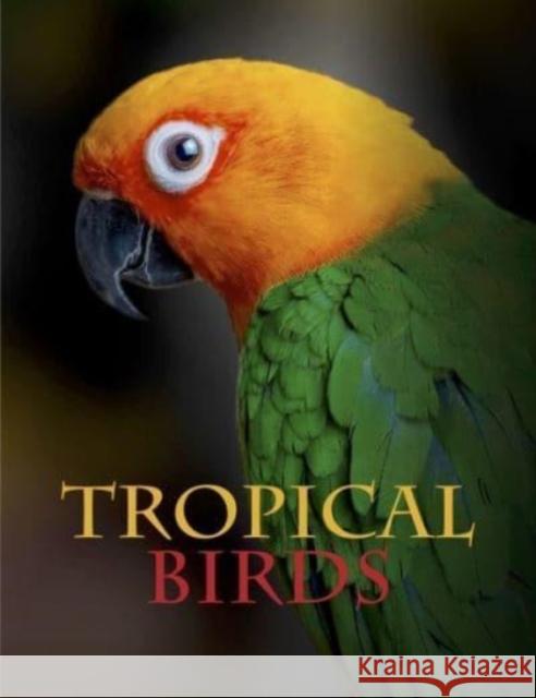 Tropical Birds Tom Jackson 9781838861964 Amber Books Ltd