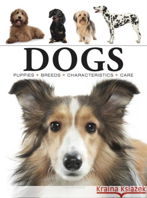 Dogs Tom Jackson 9781838862589 Amber Books Ltd