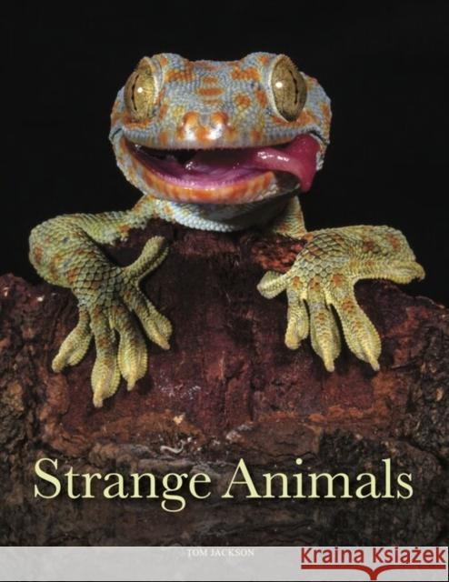 Strange Animals Tom Jackson 9781838862824 Amber Books Ltd