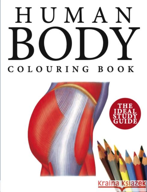 Human Body Colouring Book: Human Anatomy in 215 Illustrations Peter Abrahams 9781838863050