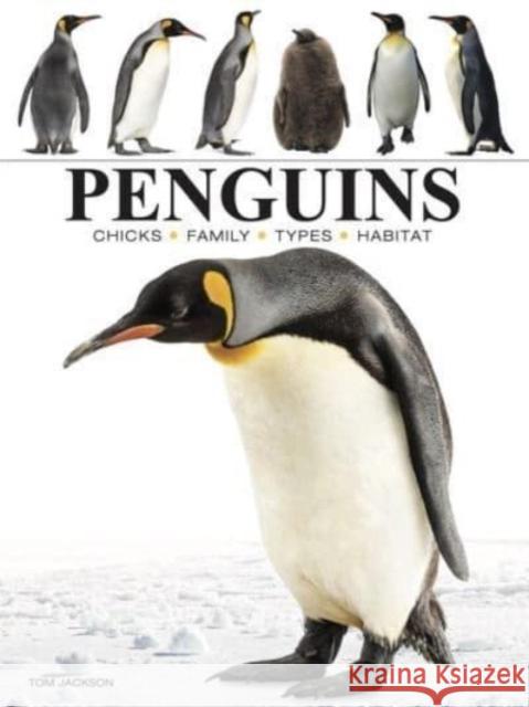 Penguins Tom Jackson 9781838863609 Amber Books Ltd