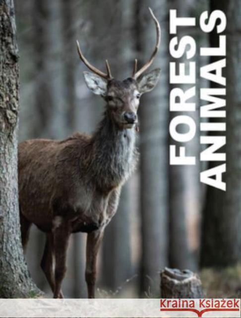 Forest Animals Julianna Photopoulos 9781838863654 Amber Books