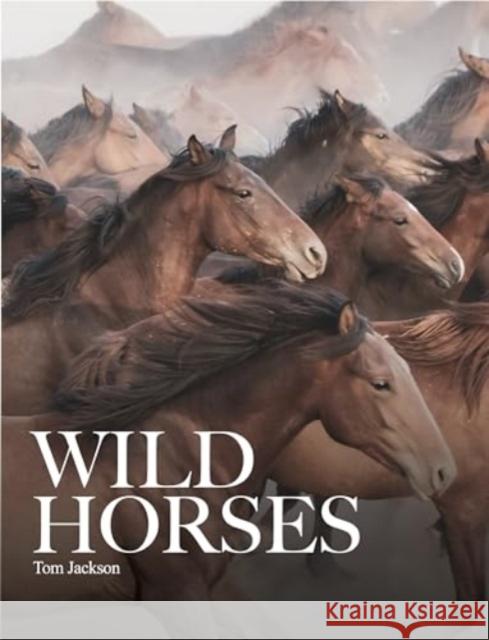 Wild Horses Tom Jackson 9781838864279 Amber Books Ltd