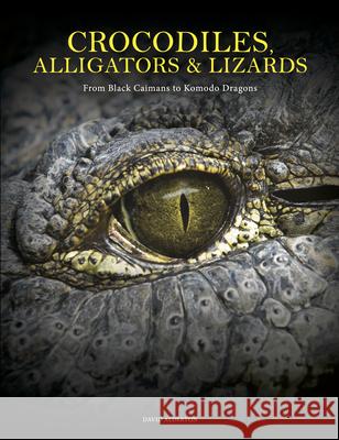 Crocodiles, Alligators & Lizards: From Black Caimans to Komodo Dragons David Alderton 9781838864286 Amber Books Ltd