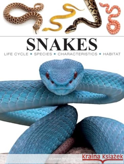 Snakes Julianna Photopoulos 9781838864446 Amber Books Ltd