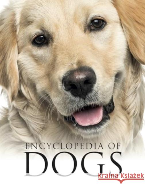 Encyclopedia of Dogs Tom Jackson 9781838864477 Amber Books Ltd