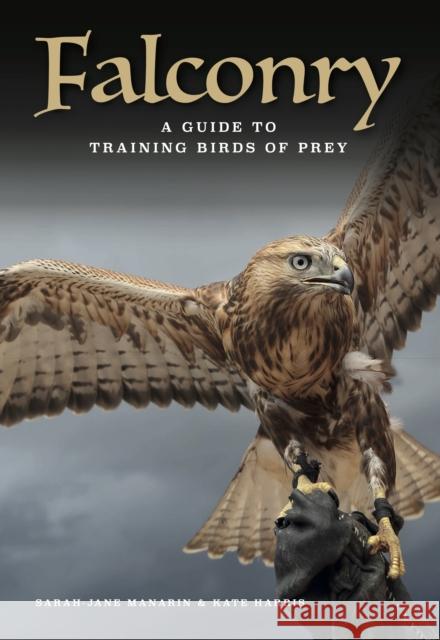 Falconry: A guide to training birds of prey Kate Harris 9781838864798 Amber Books