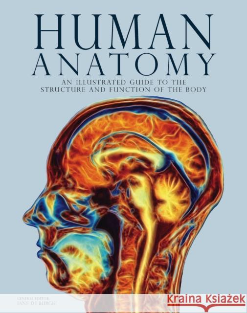 Human Anatomy: An Illustrated Guide to the Structure and Function of the Body  9781838864880 Amber Books Ltd