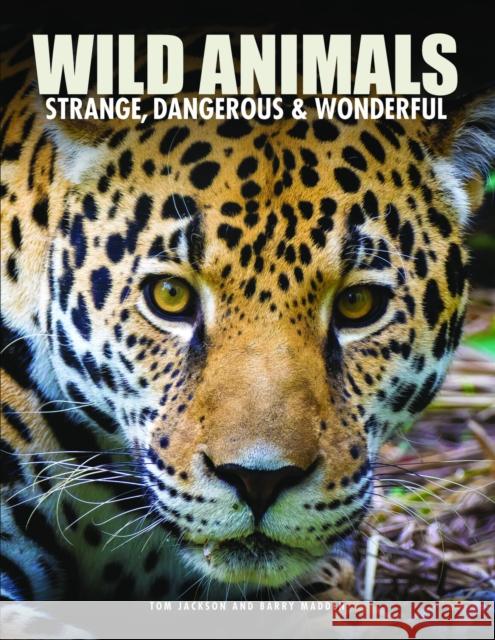 Wild Animals Barry Madden 9781838865313 Amber Books Ltd