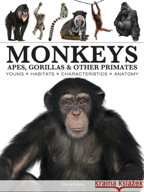 Monkeys Tom Jackson 9781838866044 Amber Books