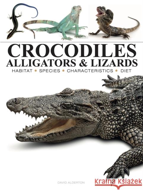 Crocodiles, Alligators & Lizards David Alderton 9781838866051 Amber Books