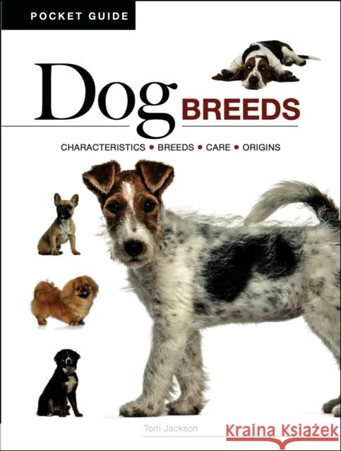 Dog Breeds: Characteristics * Breeds * Care * Origins Tom Jackson 9781838866075 Amber Books Ltd