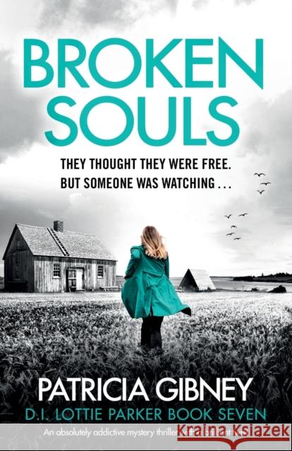 Broken Souls: An absolutely addictive mystery thriller with a brilliant twist Patricia Gibney 9781838880804