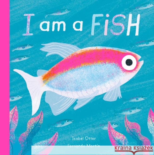 I am a Fish Isabel Otter 9781838910464