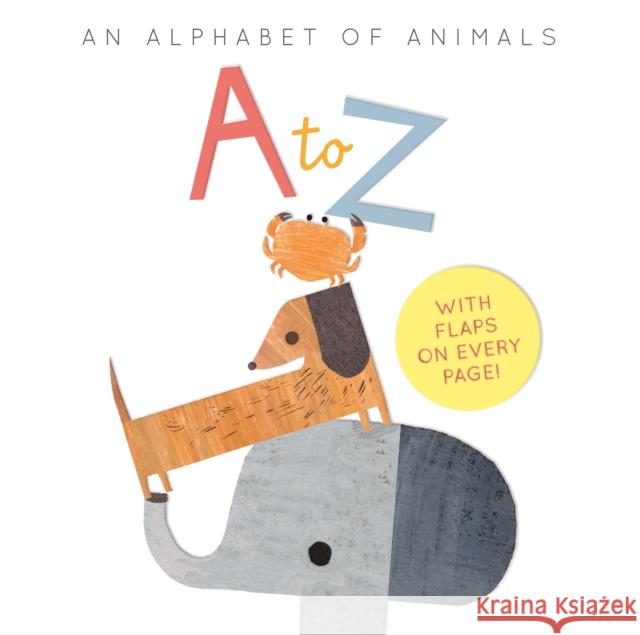 A to Z: an Alphabet of Animals Linda Tordoff 9781838912772