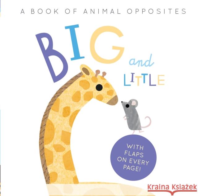 Big and Little: A Book of Animal Opposites Linda Tordoff 9781838913205