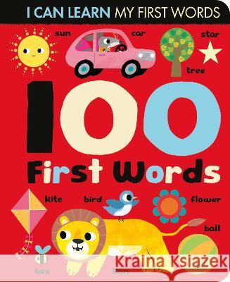 100 First Words Lauren Crisp 9781838913656 Little Tiger Press Group