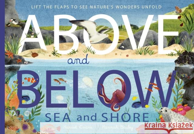 Above and Below: Sea and Shore: Lift the flaps to see nature's wonders unfold Hannah Bailey 9781838915056