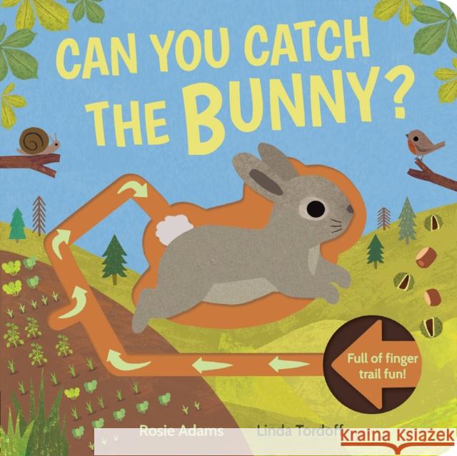 Can You Catch the Bunny? Linda Tordoff 9781838916008