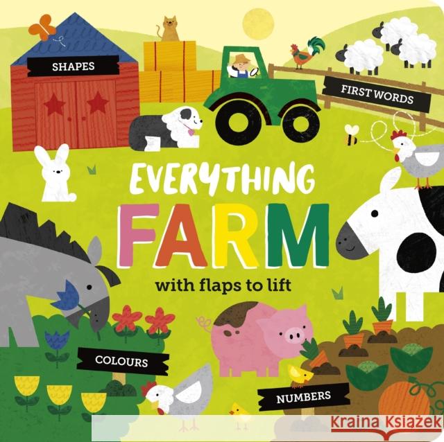 Everything Farm Becky Davies 9781838917135