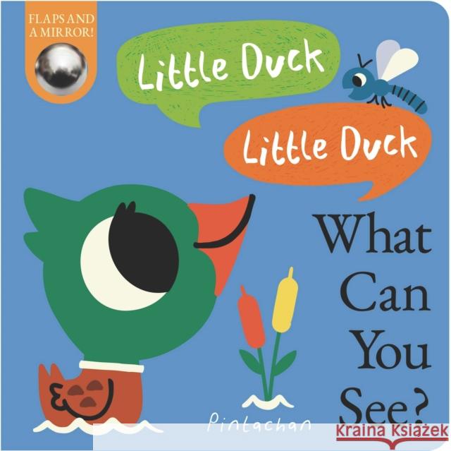 Little Duck, Little Duck, What Can You See? Kate Ware 9781838917975 Little Tiger Press Group