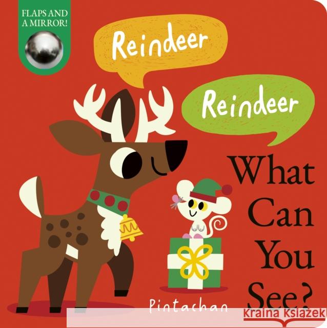 Reindeer! Reindeer! What Can You See? Dee (Managing Editor) Costello 9781838918323 Little Tiger Press Group